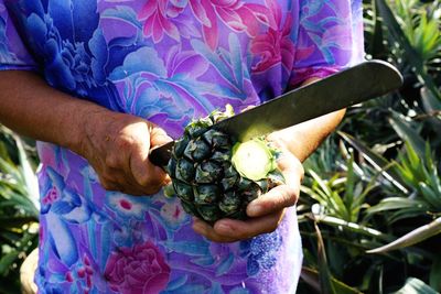 Midsection of man holding fruit