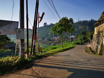 Road amidst trees and buildings against sky