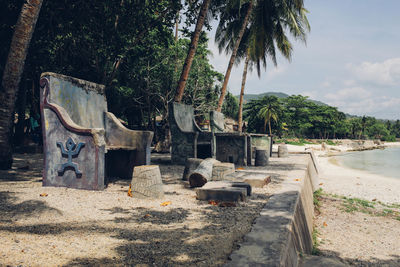 Trees on shore