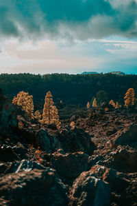 Panoramic view of rock formation on landscape against sky