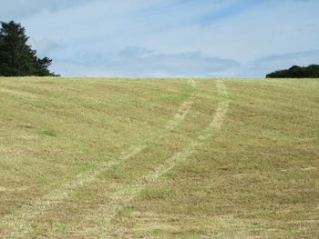 Scenic view of grassy field against cloudy sky