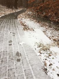 Tire tracks on snow covered road