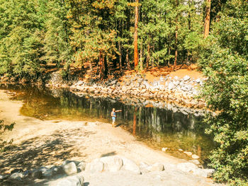 Footpath in forest