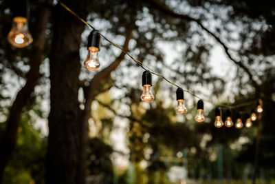 Low angle view of illuminated light bulbs hanging on tree