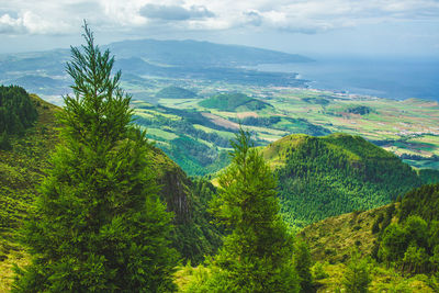 High angle view of trees on landscape against sky