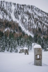 Scenic view of snow covered field woods with snow