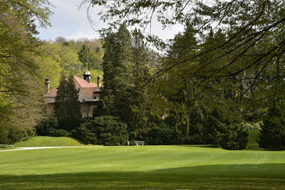 Scenic view of golf course against trees and houses