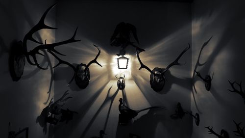 Low angle view of illuminated lighting equipment at home