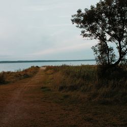 Scenic view of landscape against cloudy sky