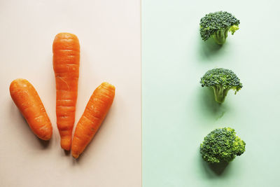 High angle view of vegetables on table against white background