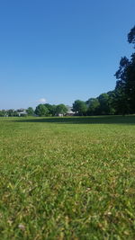 Scenic view of field against clear sky