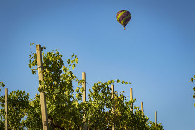 Low angle view of hot air balloon against clear blue sky