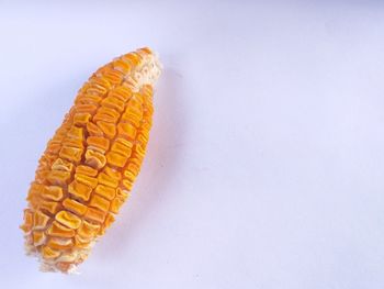 High angle view of orange against white background