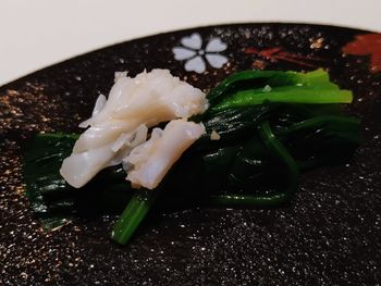 Close-up of ice cream in plate