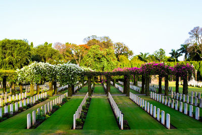 Formal garden walkway between fence