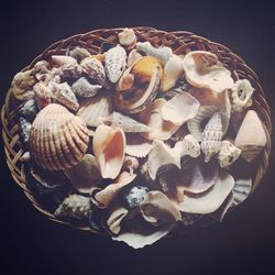 Close-up of food on table