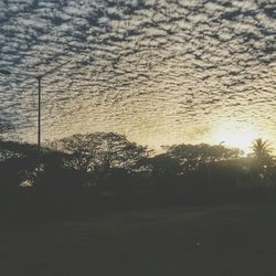 Silhouette of trees at sunset