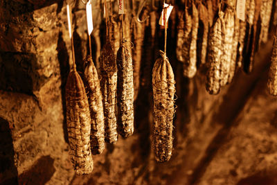 Close-up of salami maturing in the cellar