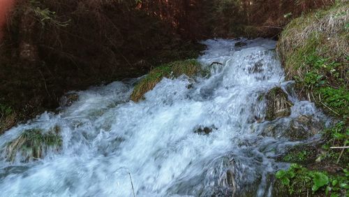 Water flowing through rocks in forest