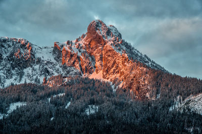 Trees and snowcapped mountains against cloudy sky