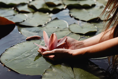 Low section of woman holding plant