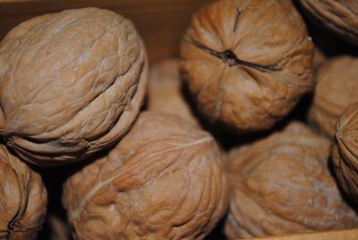 Close-up of food