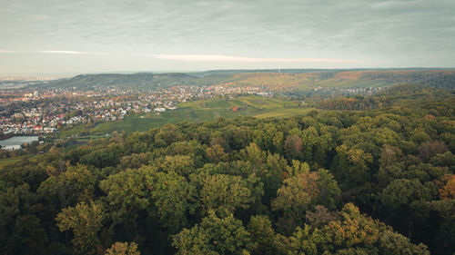 High angle view of plants growing in city against sky