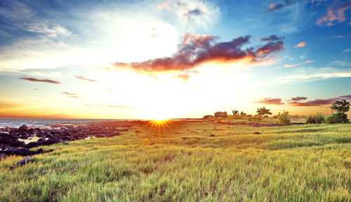 Scenic view of field against sky during sunset