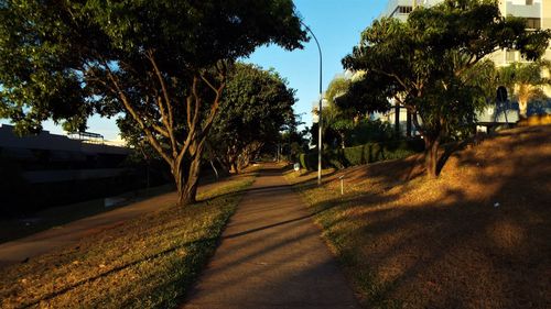 Road amidst trees against sky