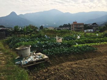 Houses on field by buildings against sky