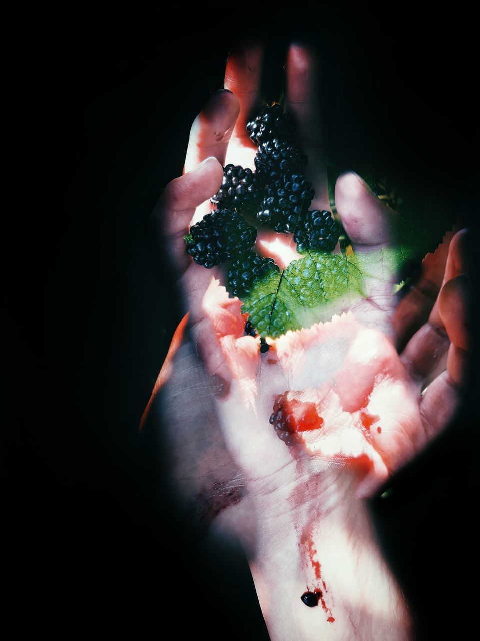 DIGITAL COMPOSITE IMAGE OF HAND HOLDING FLOWER