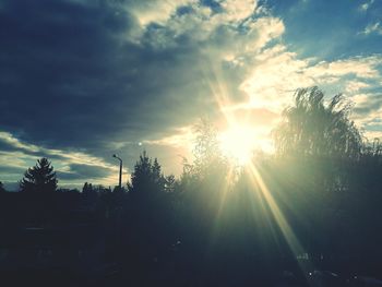 Low angle view of trees against sky during sunset