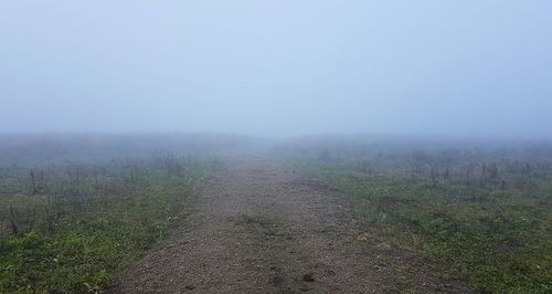 Surface level of grassy field against sky during foggy weather