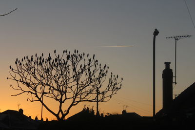 Low angle view of silhouette trees against sky at sunset