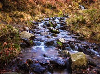 River flowing through rocks in forest
