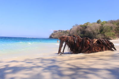 Scenic view of beach against clear blue sky