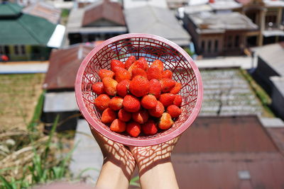 Midsection of woman holding strawberries