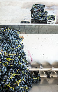 View of grapes in container