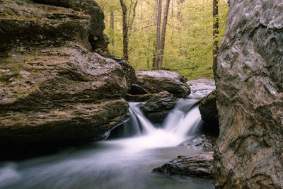 Stream flowing through rocks in forest