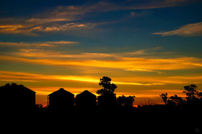 Silhouette trees against sky during sunset