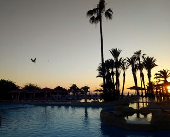 Silhouette palm trees by swimming pool against sky during sunset