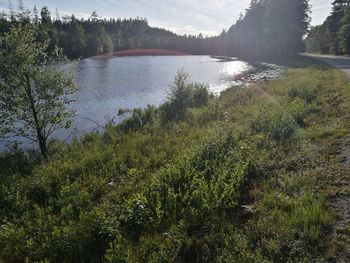 Scenic view of lake in forest against sky