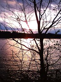 Silhouette bare tree by lake against sky during sunset