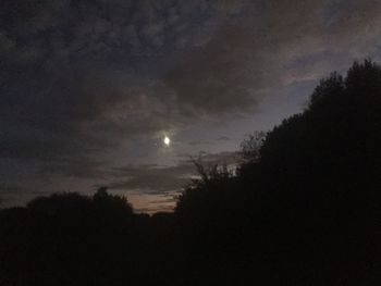 Low angle view of silhouette trees against sky at night