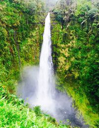 Scenic view of waterfall