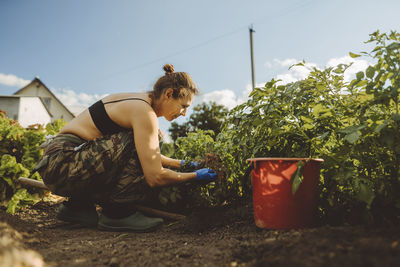 Woman examining roots of potato plant in garden