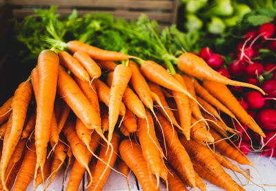 Close-up of carrots