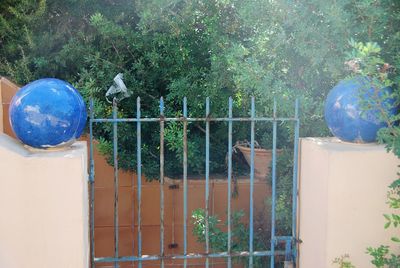 View of an animal seen through fence
