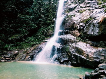 Scenic view of waterfall in forest