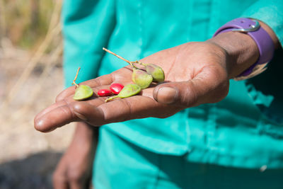 Close-up of hand holding fruit